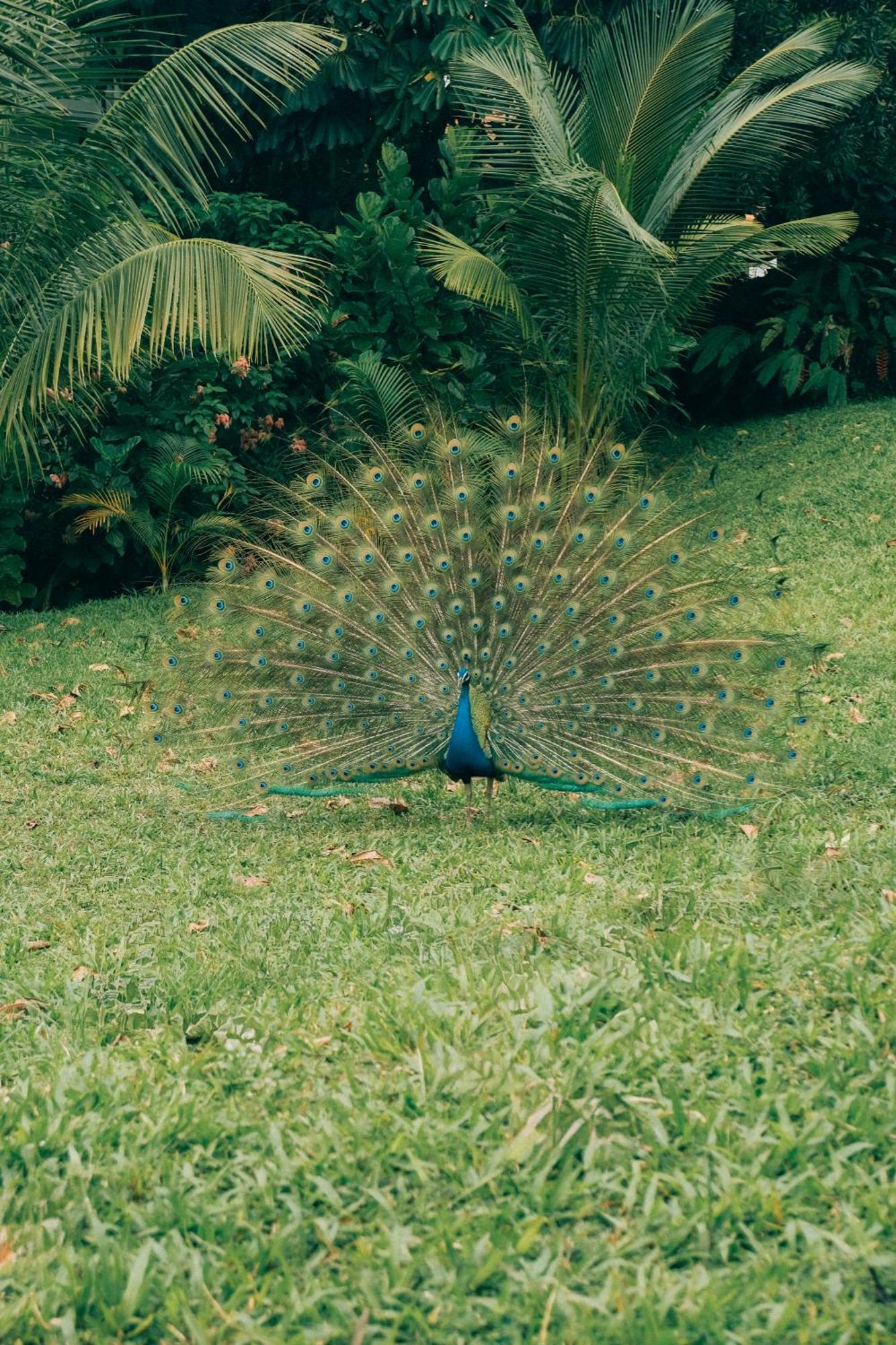 Raffles Sentosa Singapore Ngoại thất bức ảnh